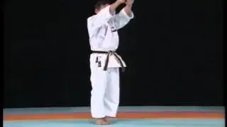 Kata 11 - Niseishi Kata Explained