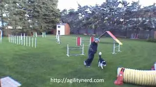 3 Masters Backyard Dog Agility Sequences - Annotated