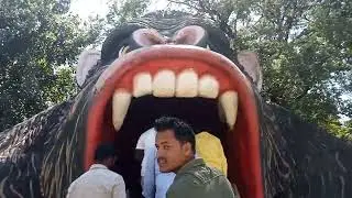 कर्नाटक# के# फेमस पार्क# चिड़ियाघर#वायरल वीडियो ट्रेंडिंग वीडियो #न्यू वीडियो# चिड़िया घर 😱🙏🤔