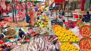 Amazing Cambodian Street Food Tour- City & Countryside Food Compilation @MarketTour