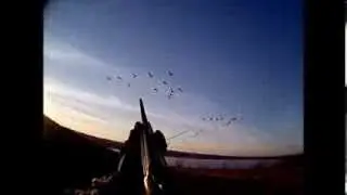 Close Pass Shooting