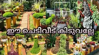 Garden tour malayalam/DIY garden ideas for home/small space garden tour/indoor plants/ hanging plant