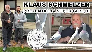 Klaus Schmelzer - aukcja gołębi. m.in. Gebr. Leideman, Rene Vervoort itd.