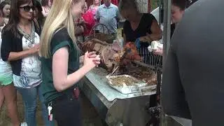 20160730 Linslade Canal Festival