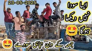 Northern Bypass Mandi latest Friday Purchasing May 23 2025||4lac 80k 2.5 Lac||Vlog with osama