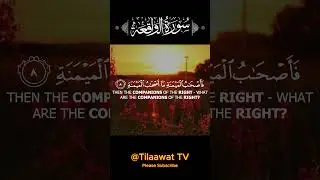 Do you know these 3 types of People ?? #quran #surahwaqiah #shorts