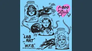 LAB RAT