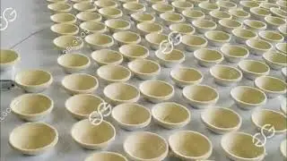 Custard Tart Making Machine|Tart Shell Press Machine