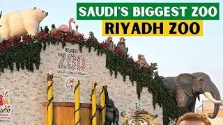 2022–December—-11
