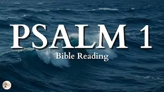 Psalm 1 | Peaceful Bible Audio Reading for Stillness and Scripture Meditation