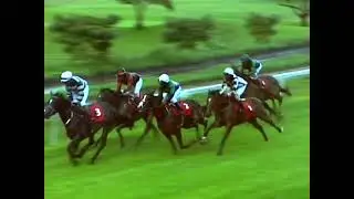 5TH NOVEMBER, 2023    RACE 4  THE JOYOUS GARD HANDICAP