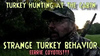 Turkey Hunting at the Cabin - Strange Turkey Behavior, Eerie Coyotes, and a Cozy Warm Cabin