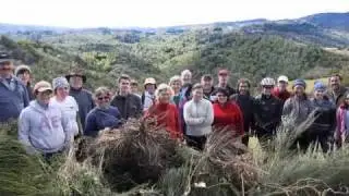 Volunteers Rock!