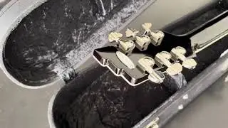 Duesenberg Starplayer TV Catalina Sunset Rose 2019