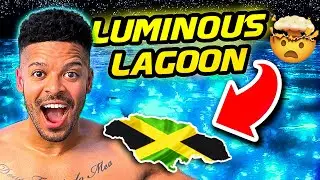 YOU HAVE TO SEE THIS TO BELIEVE IT 😳