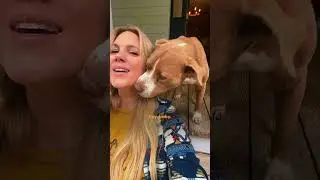 Family&rsquo;s New House Comes With A Senior Pit Bull Tied Up In The Yard | The Dodo