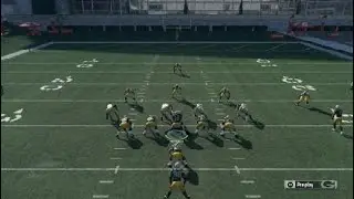 Madden 19 wishlist!