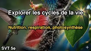 Les secrets des êtres vivants