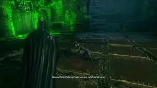 Batman and Catwoman Kinky | BATMAN&trade;: ARKHAM KNIGHT