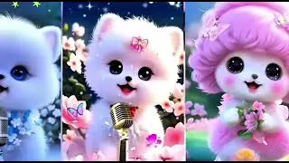 Noor Wala Aya He 😍 Most Popular Islamic Naat 💖 Cute Cat Naat