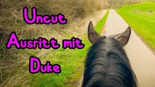 Uncut Ausritt mit Duke 🦄 Was ein Ausritt...!