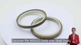 HOVOO DKBI Wiper Seal