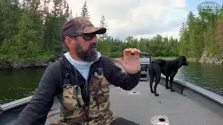Manitoba Waterfowl update