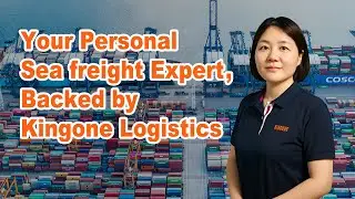 SeafreightGo: Your Personal Sea freight Expert, Backed by Kingone Logistics