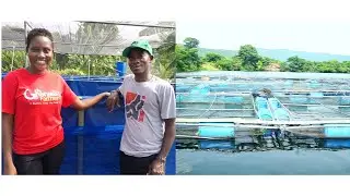 He Started Building Fish Cages After University Graduation || Charges Between 15k to 45k For Each