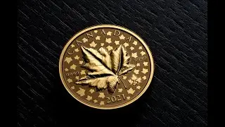 Maple Leaf Celebration