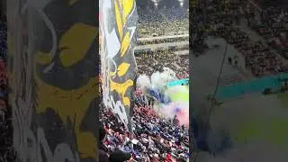 Coregrafie Peluza Nord FCSB in meciul cu Rapid ! #fcsb #steaua