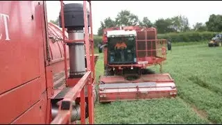Behind the scenes of Norfolk&rsquo;s pea harvest