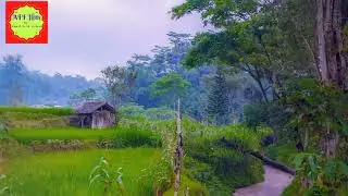 #ahmadfaridfirdaus #sawah #sawahyangindah 😊 #reelsfbシ #shoortreels #reelsfypシ゚ #reelsfbpro