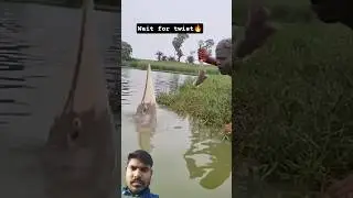 amazing fishing technique#fishing #fishingvideo #bigfish #shorts #youtubeshorts