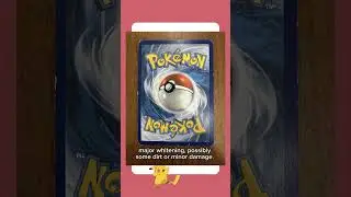 Pokemon Cards Beginner Guide: How to Check Price & Tag Your Binder #pokemoncards #bindercollection