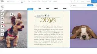 Create Dynamic Pages and Wix Database