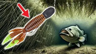 DON&rsquo;T MISS This Late Summer Bass Pattern!