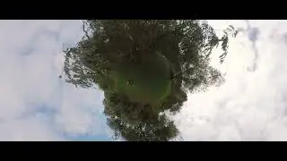 Arnold Arboretum, 