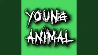 YOUNG ANIMAL