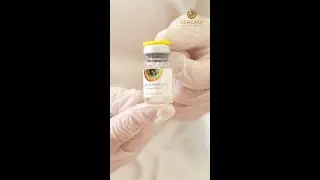 Экзосомы - новая технология адресной доставки биологически активных веществ.