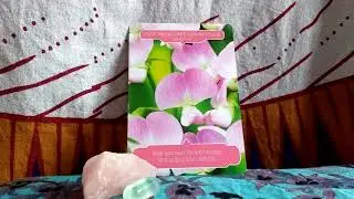 daily oracle card reading 11th september by Fairy Willow flower therapy doreen virtue tarot