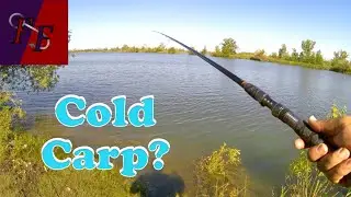 Targeting specific fish, Canadian Carp