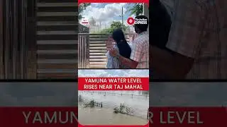 Water Reaches Walls Of Taj Mahal Due To Rising Yamuna Levels In Agra