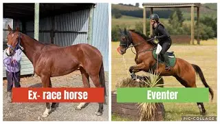 Ottb 👉 Eventer - Rubys and I journey to 2 star eventing progress (16months later) 