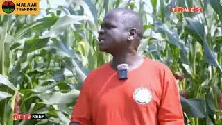 ZA NEEF - NATIONAL ECONOMIC EMPOWERMENT FUND MALAWI 2025 | Malawi Trending
