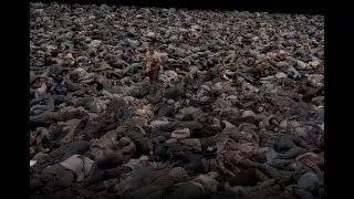 The Year That 55 MILLION People Died!