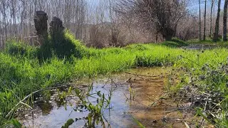 @طبیعت درمانی #nature #طبیعت #اراک #شازند