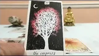 Libra End of January 2021 Tarot Update: What Are You Birthing This Month?