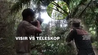 BERBURU DI SPOT SAWIT//TUPAINYA MELIMPAH