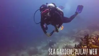 Pulau Weh (Sea Garden, West Selako)